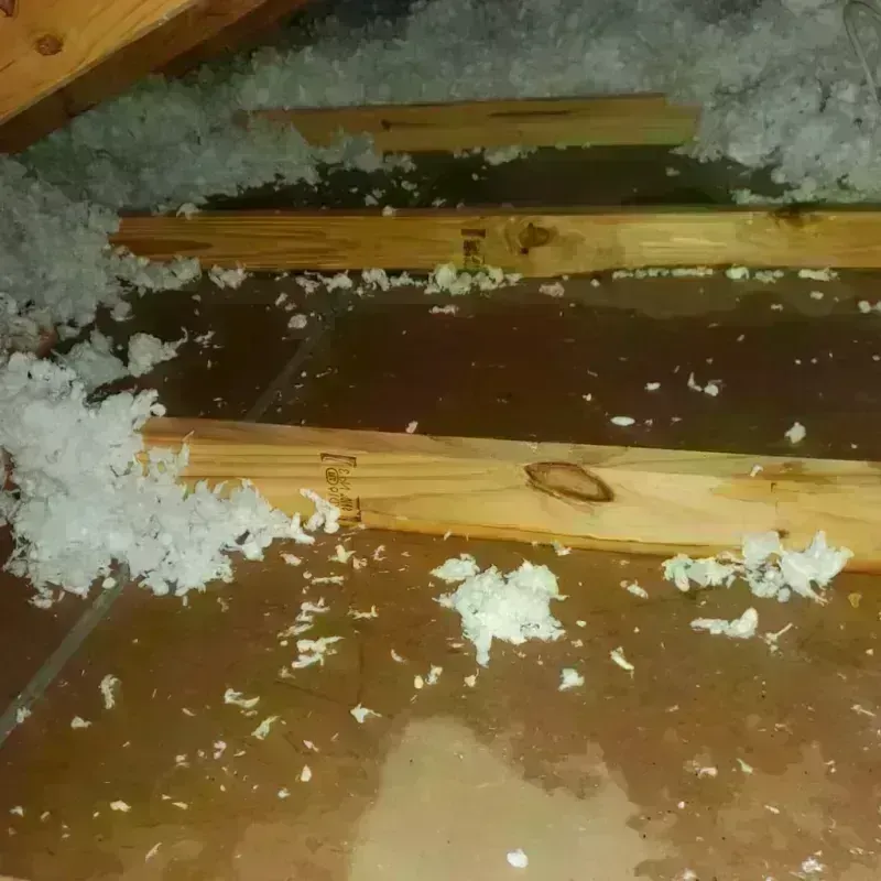 Attic Water Damage in Alfred, NY